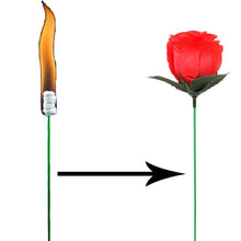 Red rose and bow with arrow on a white background